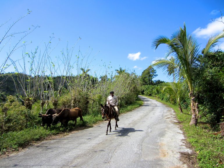 Cycling Cuba: Man on a donkey in the countryside