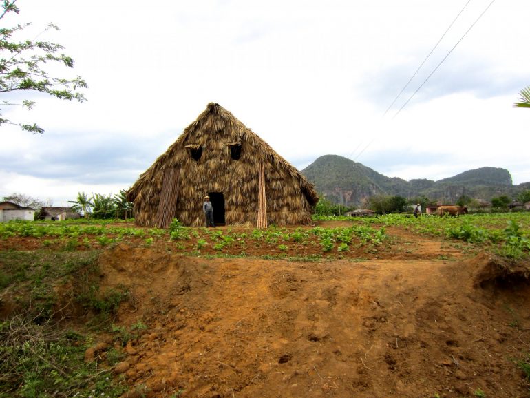 Cycling Cuba: A vela and a tobacco farmer