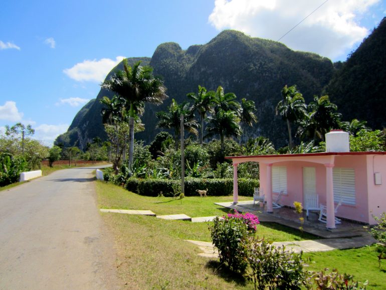 Cycling Cuba: Palmtrees and little house in front of a hill