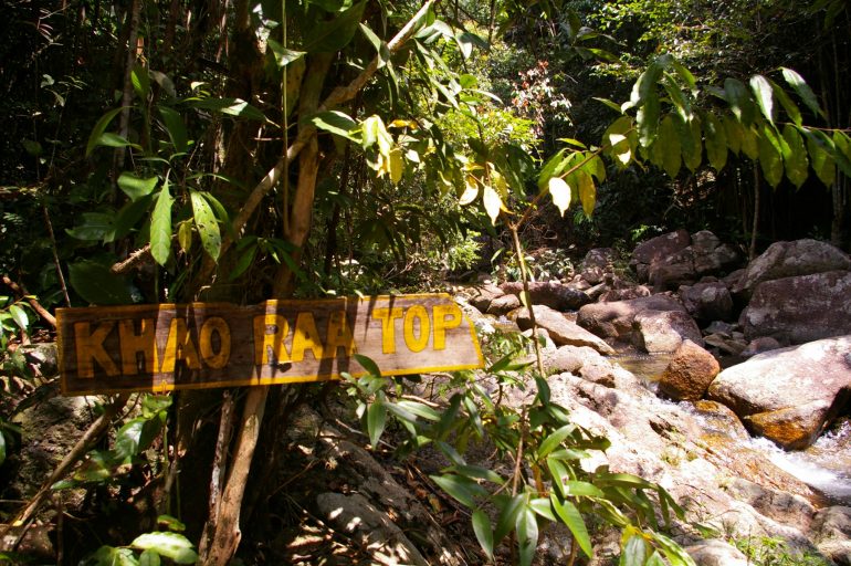 Khao Ra: Sign and jungle