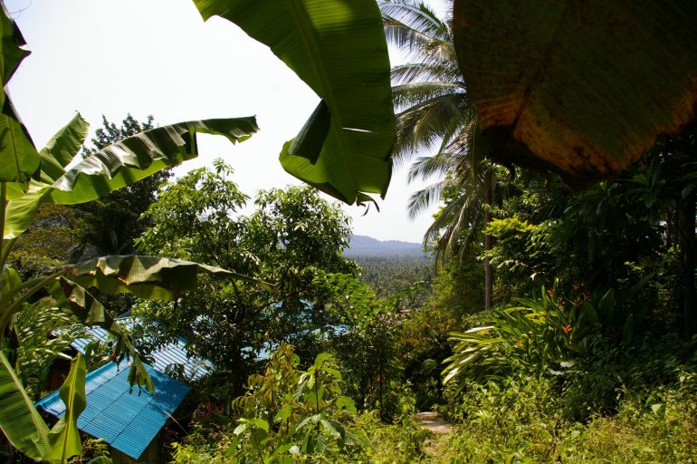 Khao Ra: Jungle path with houses