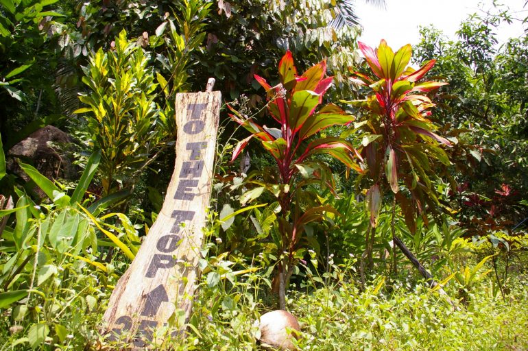 Khao Ra: Sign and plants