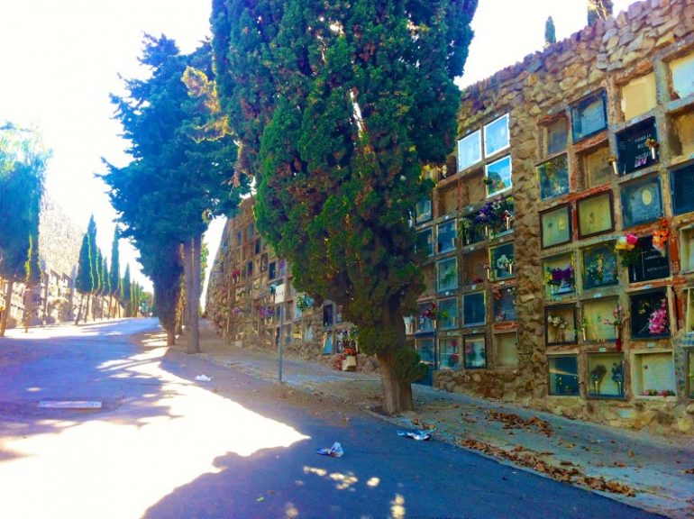 Most beautiful cemeteries: Graves and trees