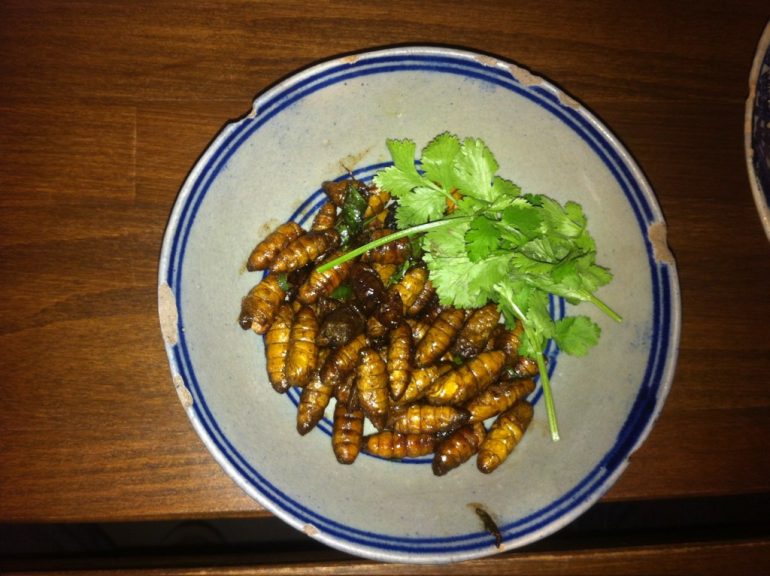 Weird food: A plate of fried silkworms