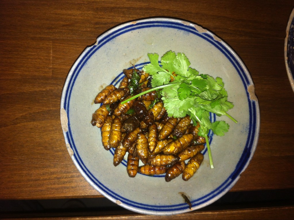Fried silkworms - yummy!