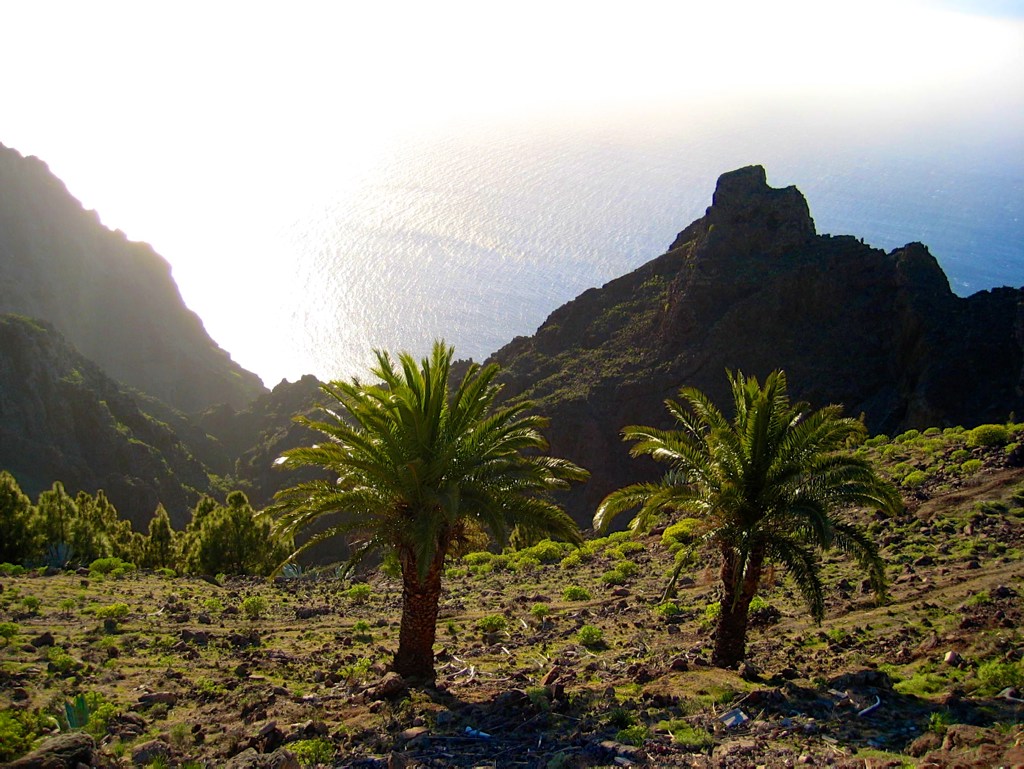 View from Arure