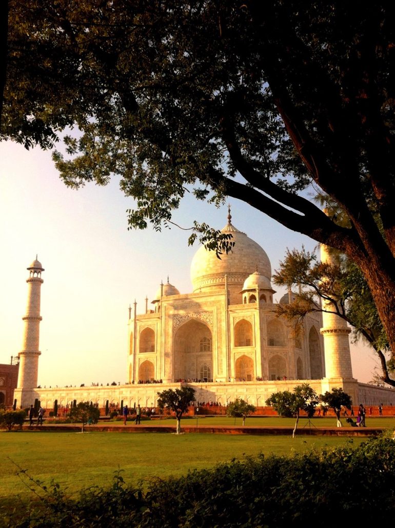 Blick durch Bäume auf das Taj Mahal