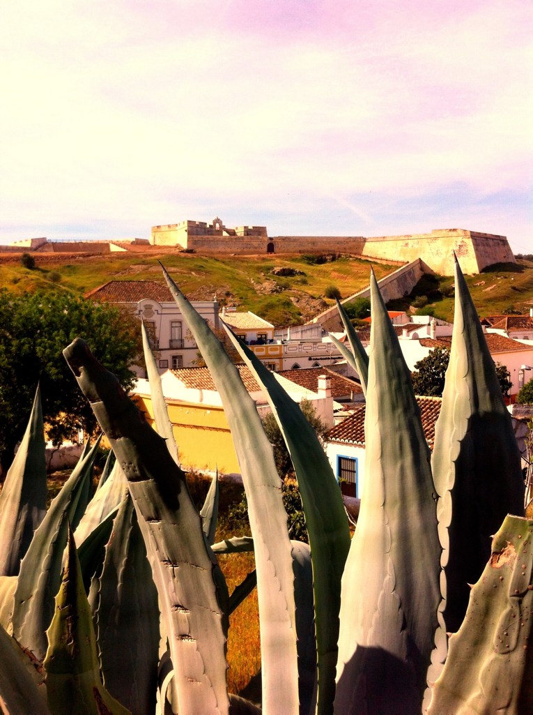 Algarve insider tips: Plants houses and walls in Monte Gordo