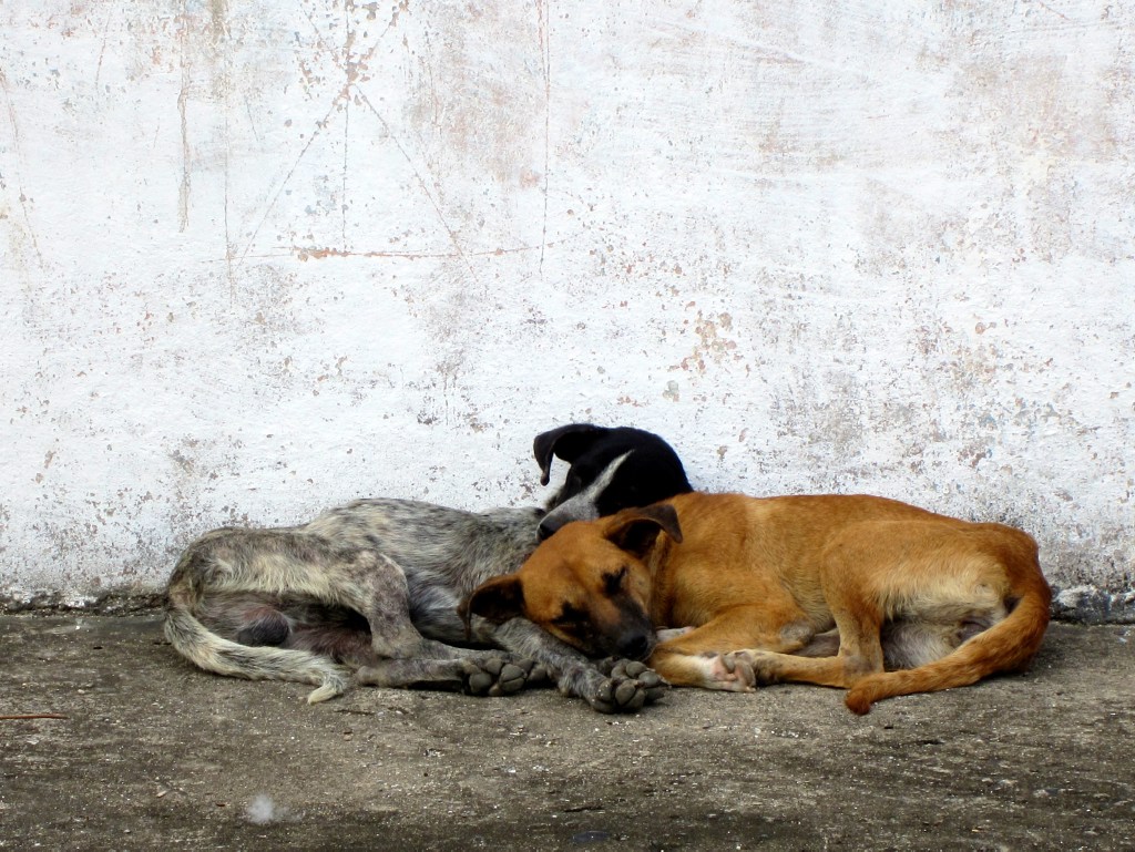 Sometimes things are better when you're not alone.