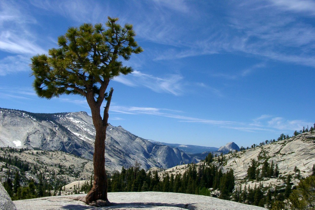 Yosemite National Park, California, USA