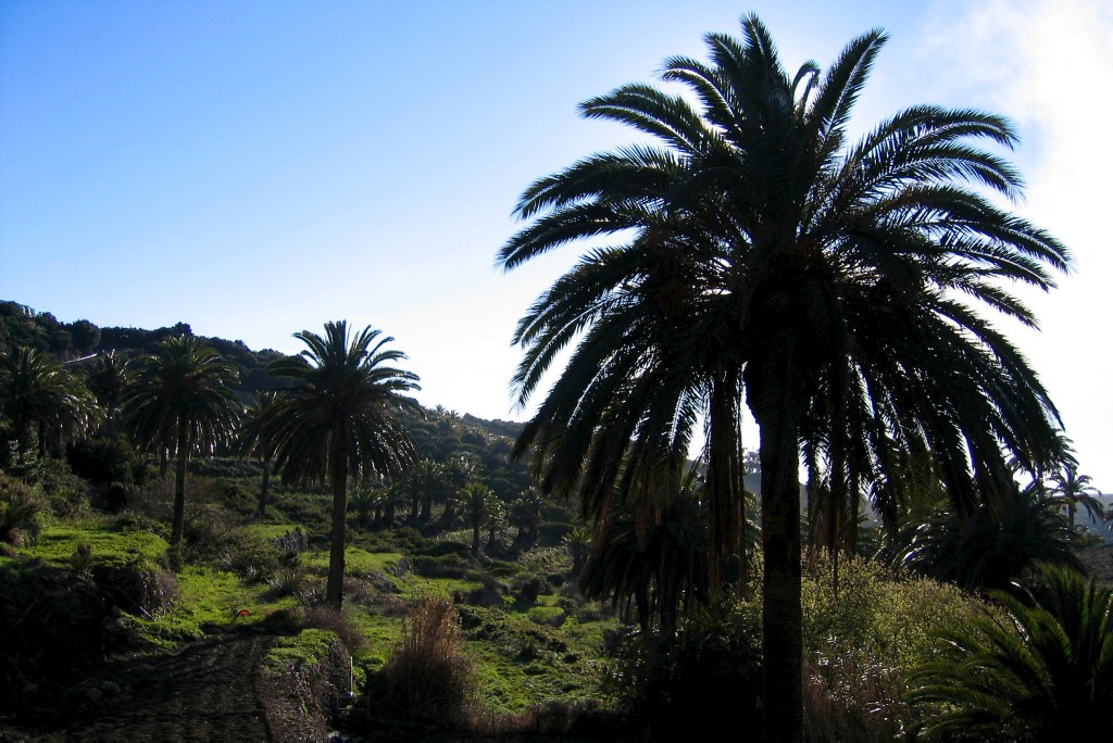 La Gomera. Spanien
