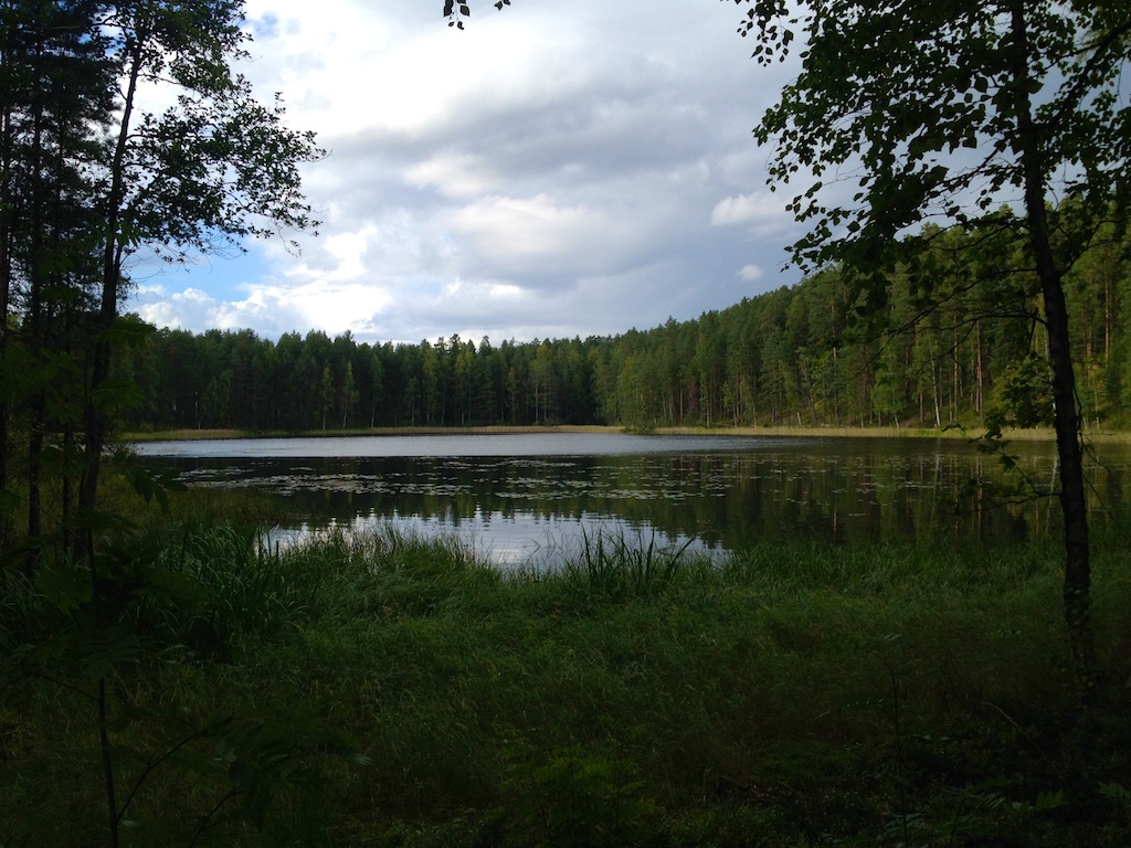 Einer der Ausblicke beim Nordic Walking