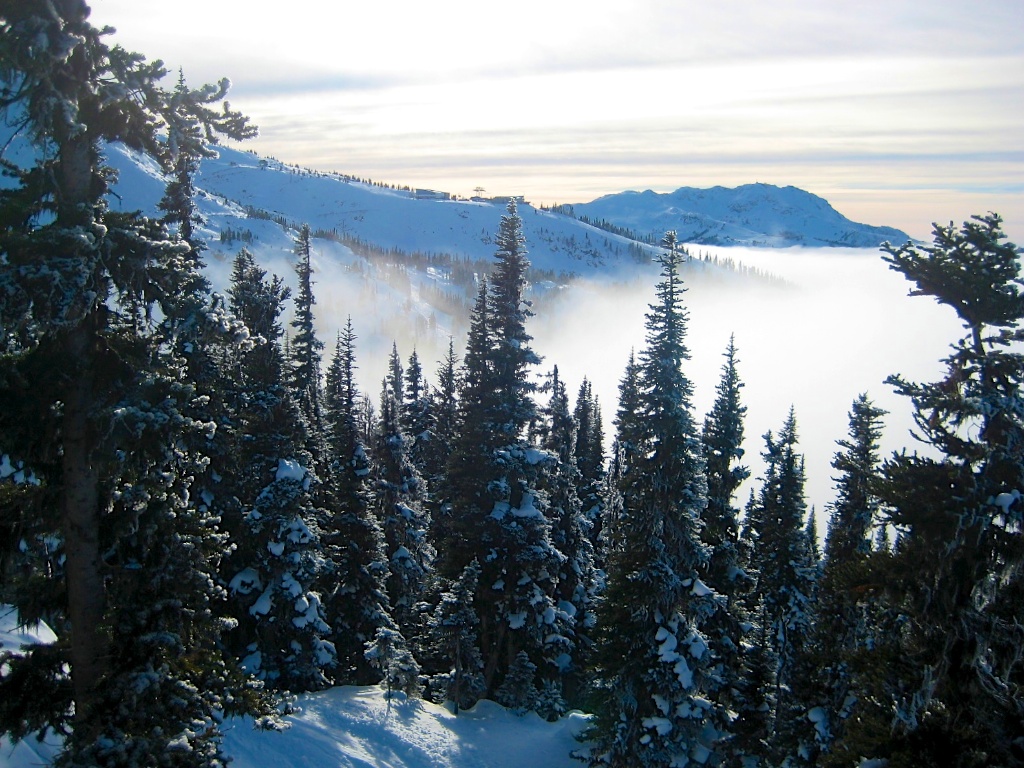 Whistler