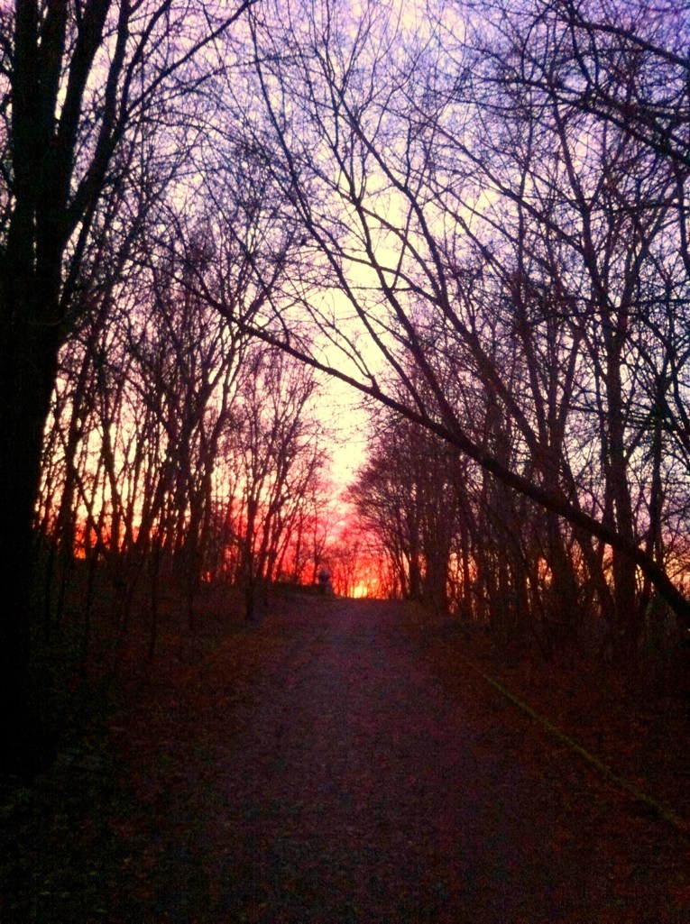 Volkspark Prenzlauer Berg