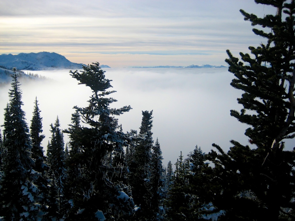Whistler im Nebel