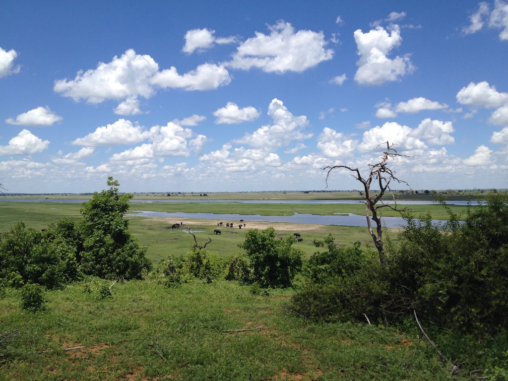 Blick über den Chobe River