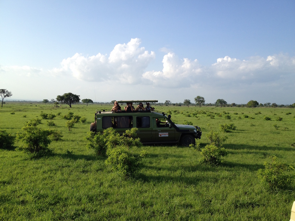 Mikumi National Park mit gestrandetem Geländewagen