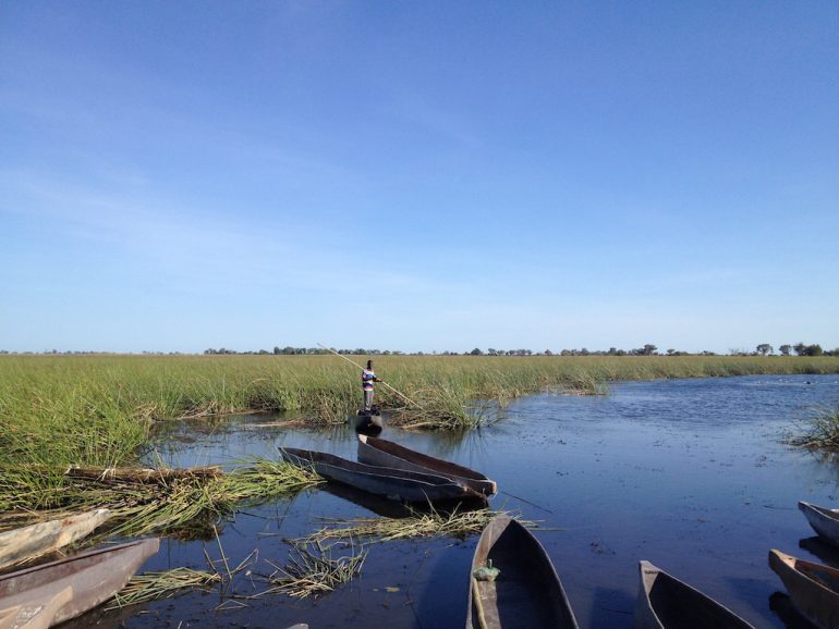 Poler auf einem Boot im Okavango-Delta