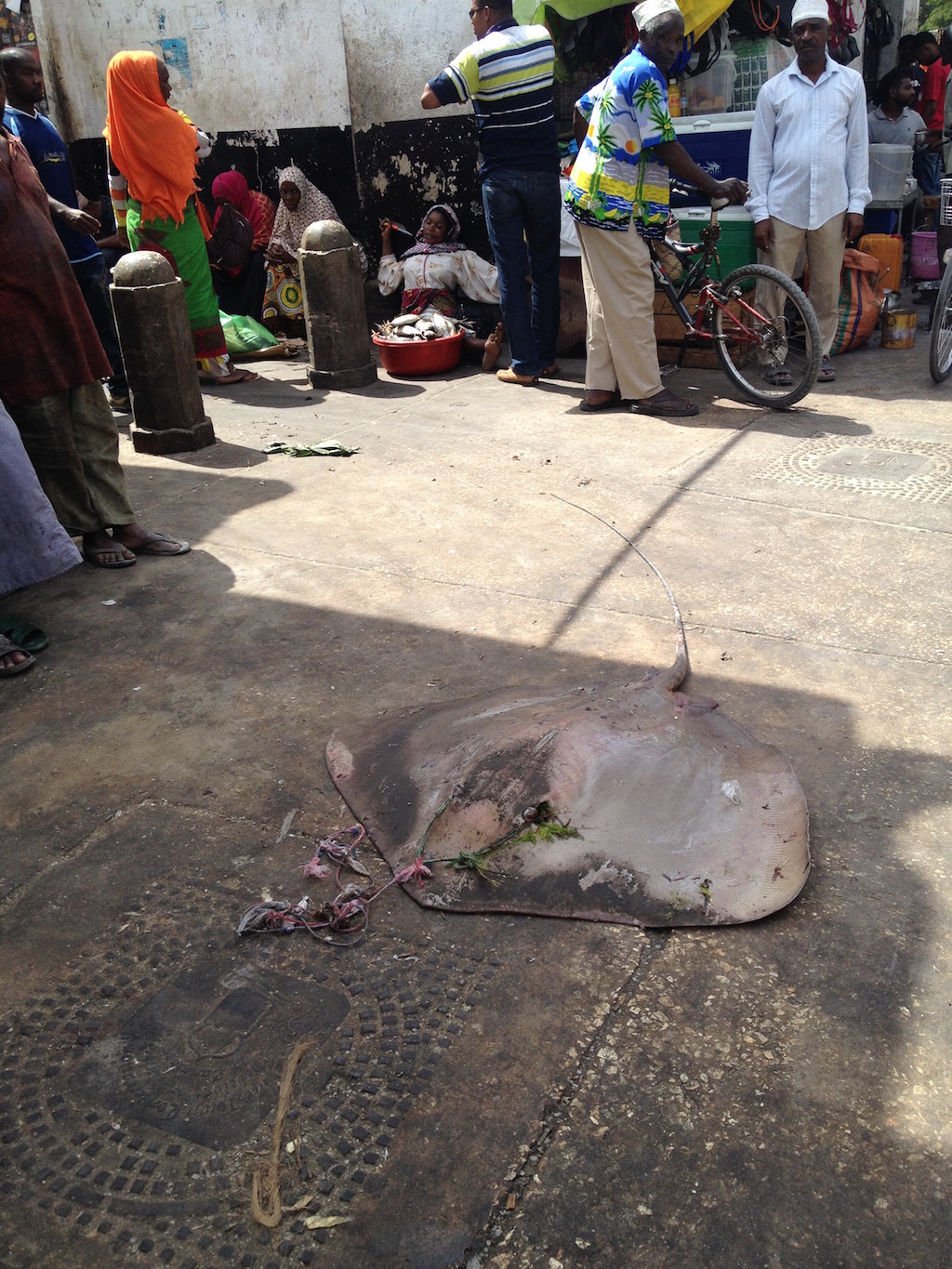 Mantarochen in Stone Town