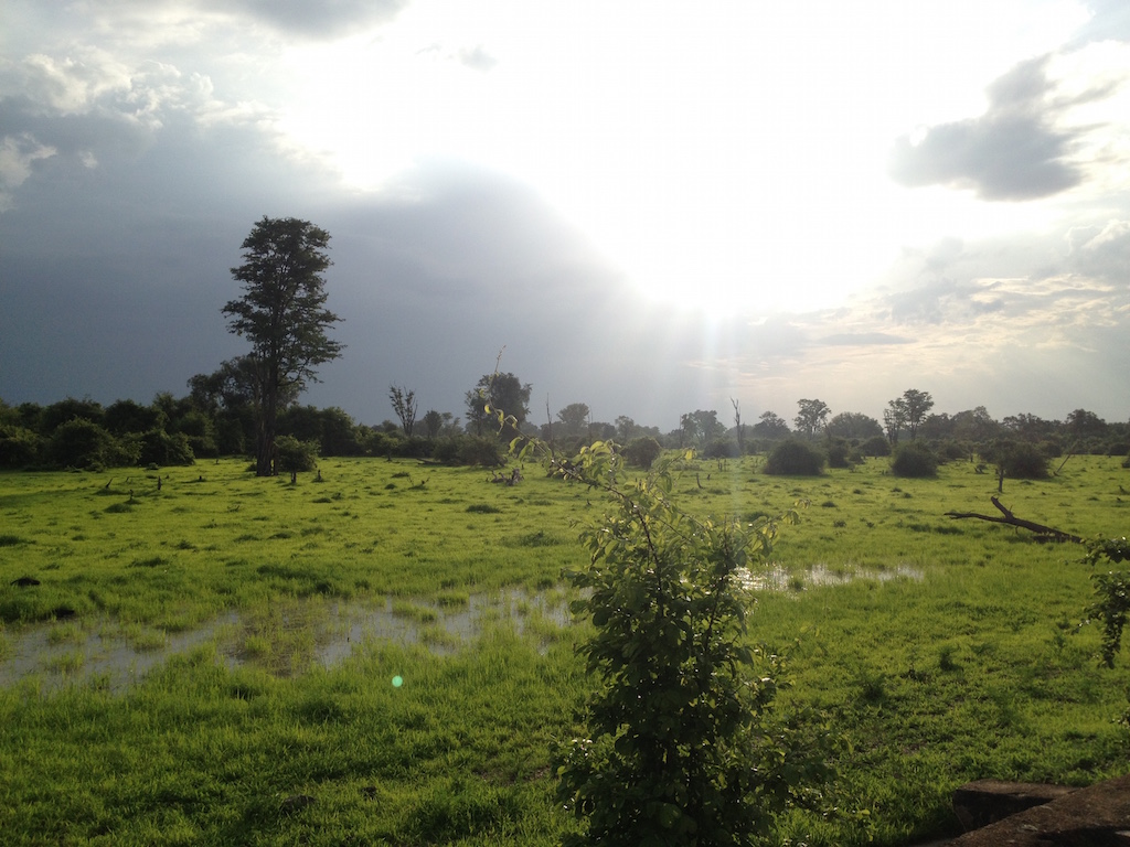 South Luangwa National Park