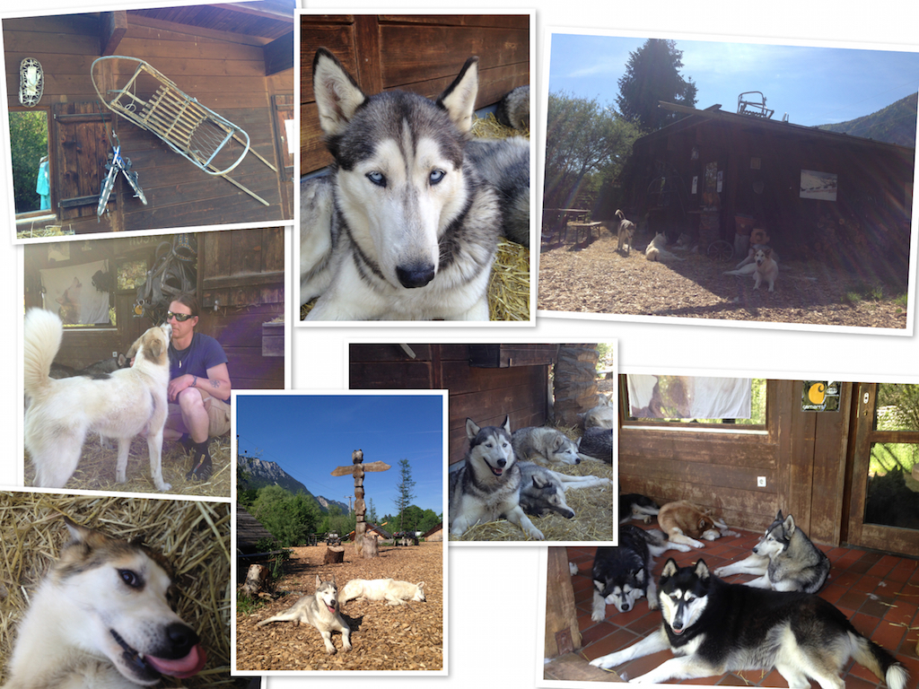 Die Husky.-Ranch im Überblick: Martin Eigentler, Totempfahl, und natürlich eine Menge Hunde!