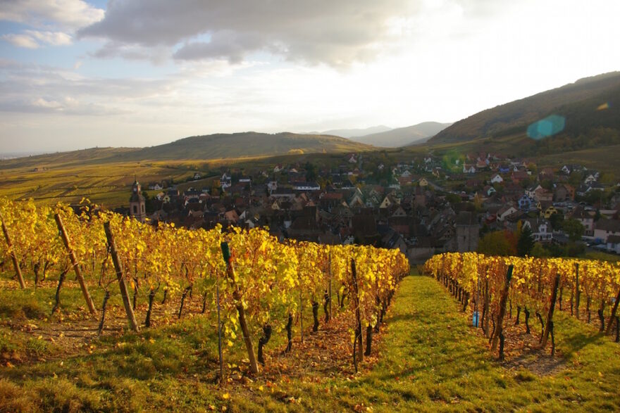 Road Trip: Das Elsass