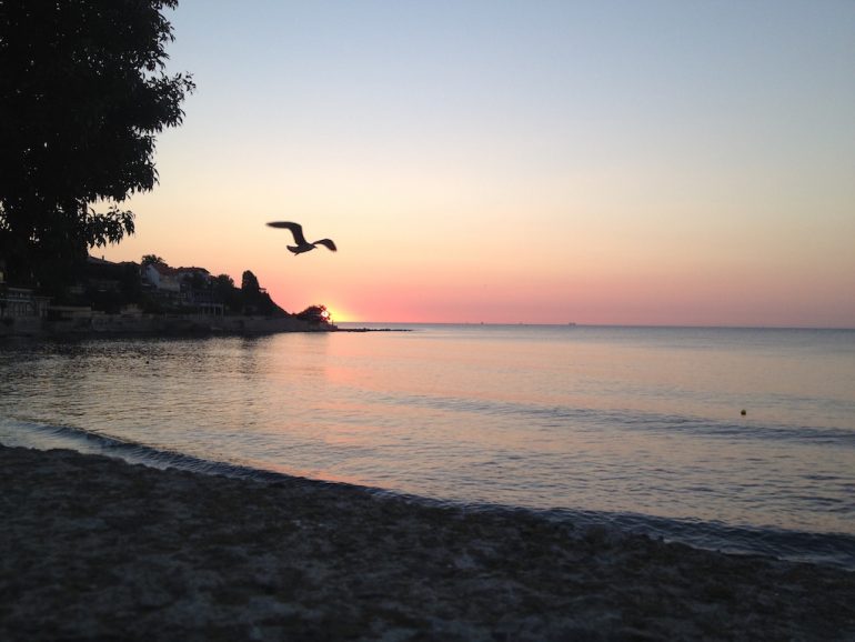 Best road trips: Bird in front of the sunset at the Black Sea