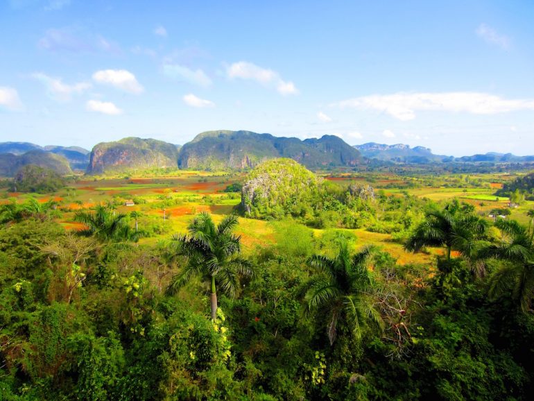 Schöne Fotos: Berge und Pflanzen in Viñales, Kuba