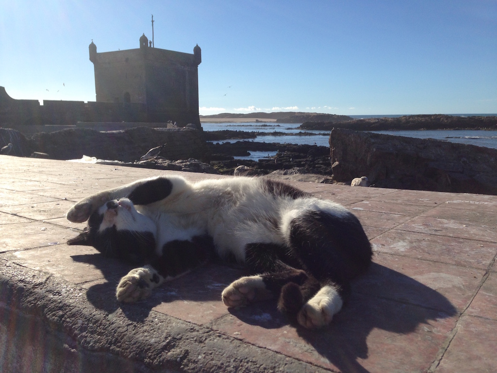Takin' it easy in Essaouira...