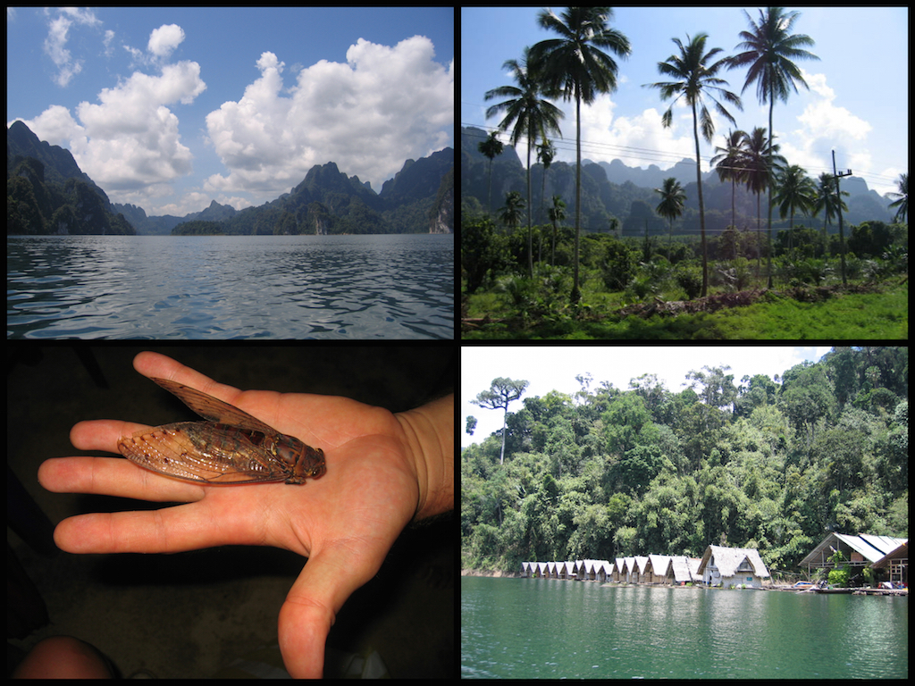 Kao Sok National Park
