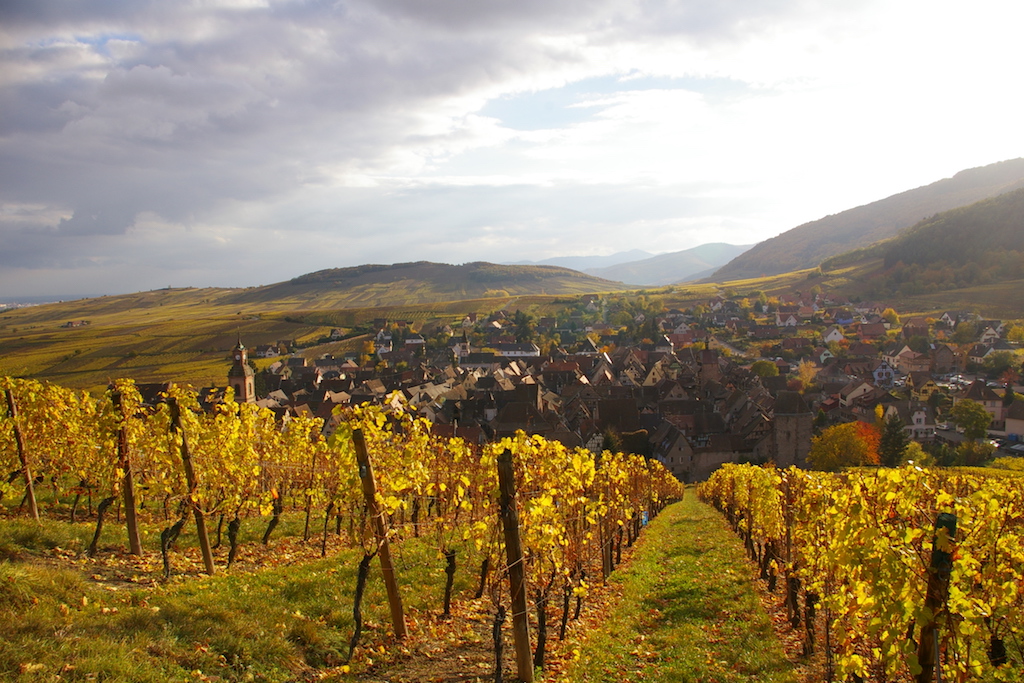 Riquewihr