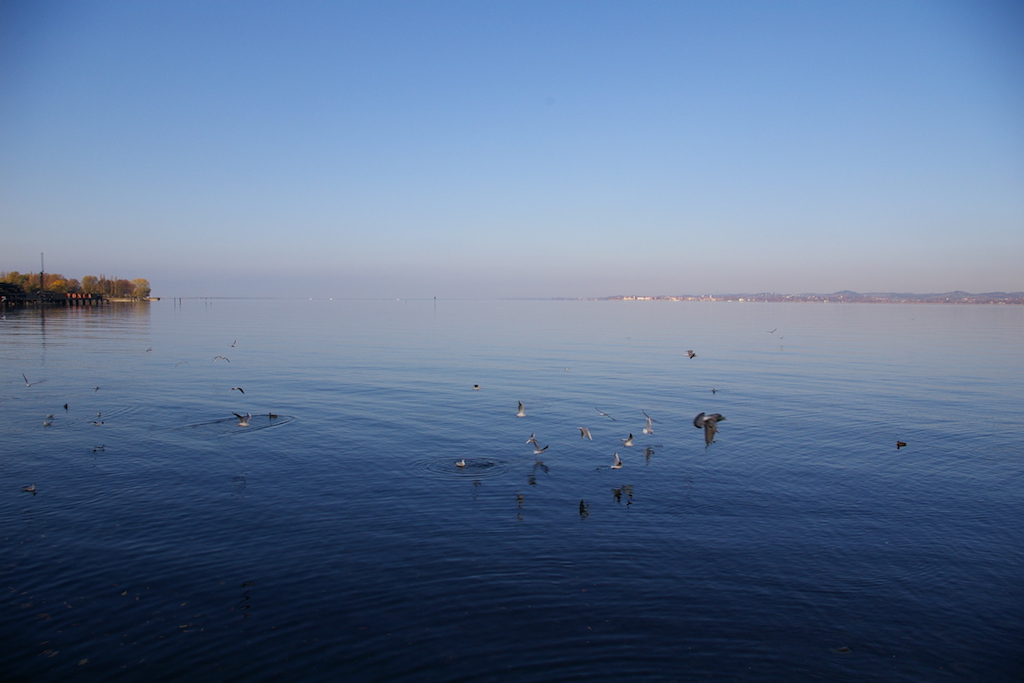 Bodensee