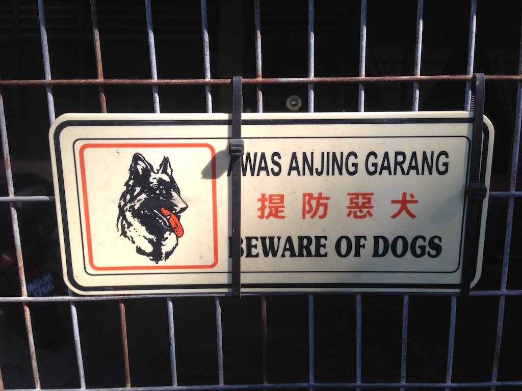 'MANY dogs' würde die Sache besser treffen!