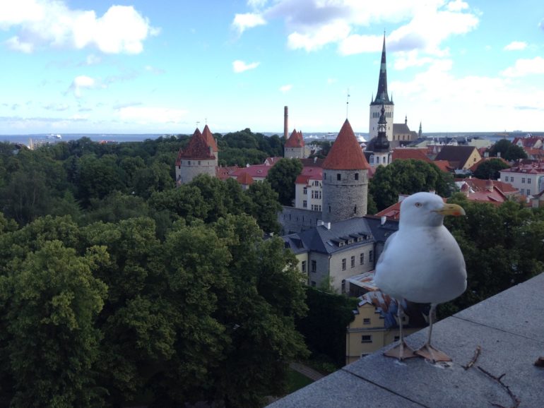Baltikum: Die Altstadt von Tallinn