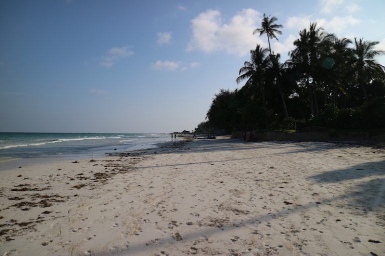 Kenia Strand: Palmen, Sand und Meer am Galu Kinondo Beach