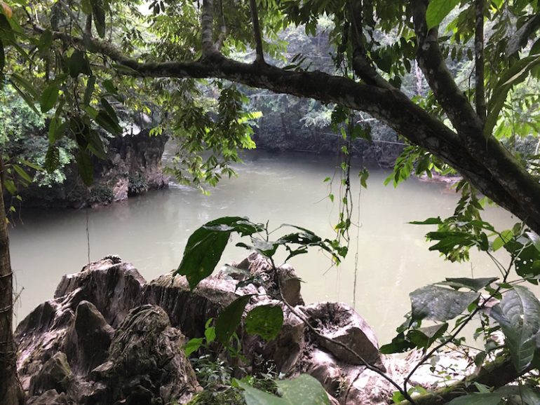 Kolumbien Reisetipps: Fluss und Pflanzen am Rio Claro