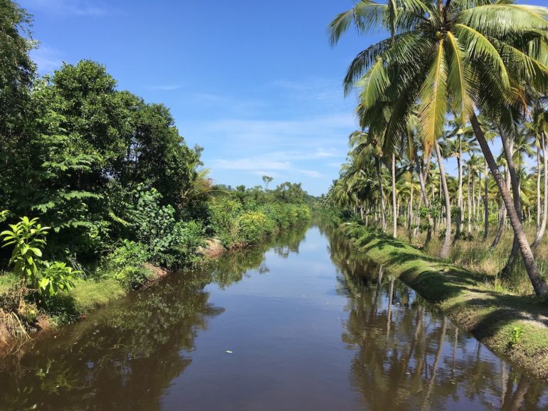 Tuk Tuk Tournament Sri Lanka: Kanal im Dschungel