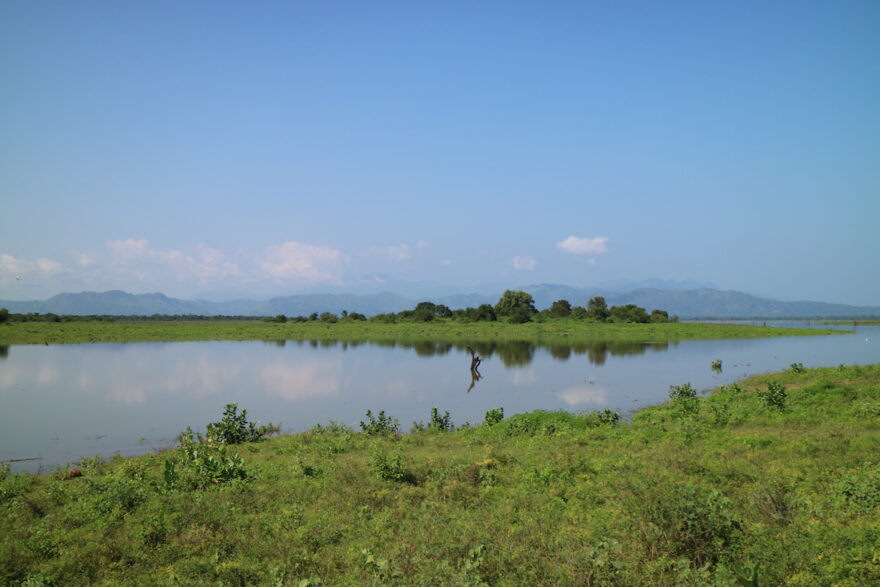 Tuk Tuk Tournament Sri Lanka: Wasser und Grün in Udawalawe