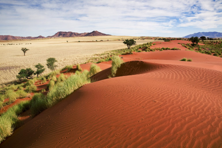 Adventures in Windhoek: Dunes in Wolwedans, Naukluft, Namibia.