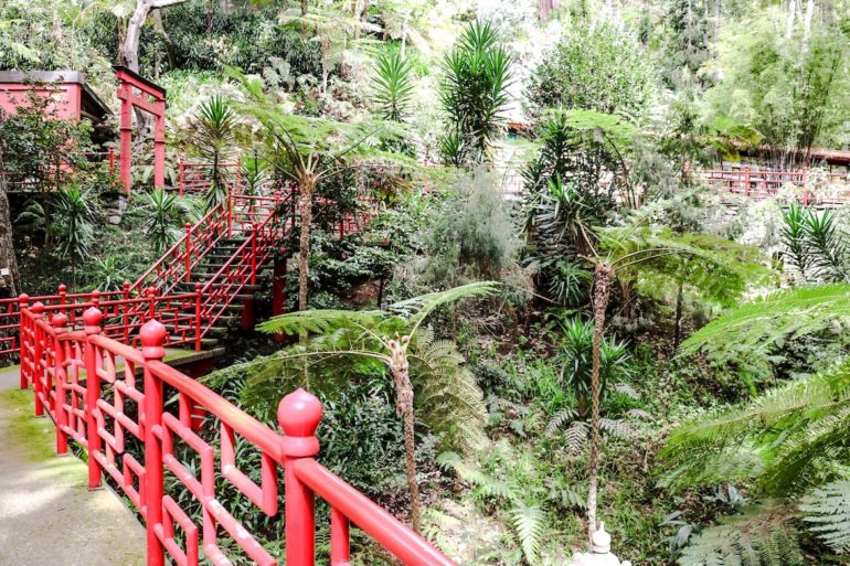 Madeira Sehenswürdigkeiten - Jardim Botanico 