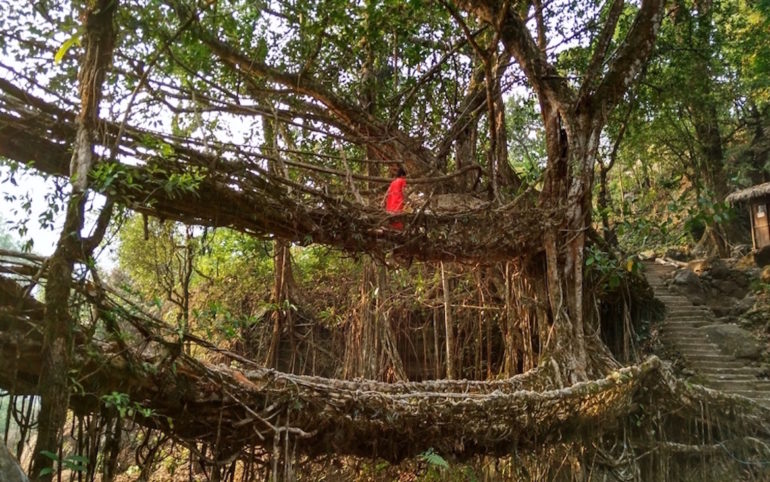 Unbekannte Reiseziele: Frau im Dschungel in Nordostindien