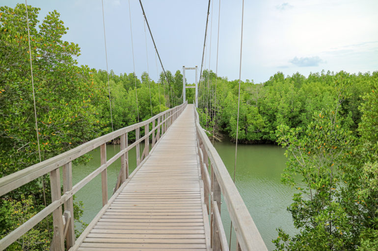 Hängebrücke im Mu Koh Chumphon National Park
