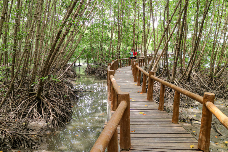 Stelzenpfad durch die mangroven im Mu Koh Chumphon National Park