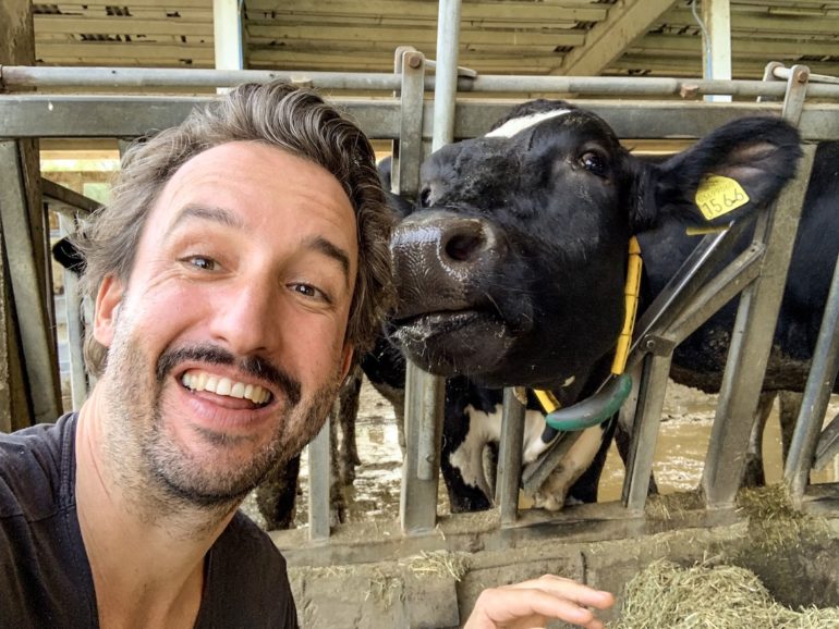 Emilia Romagna: Marco Buch mit Kuh in Modena