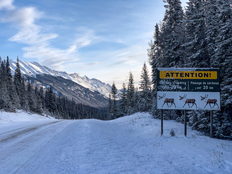 Alberta Highlights: Schild vor verschneiter Strasse und Bäumen.