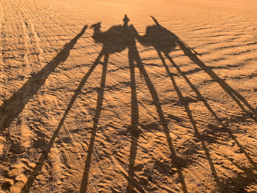 Schatten von Kamelen in der Wüste