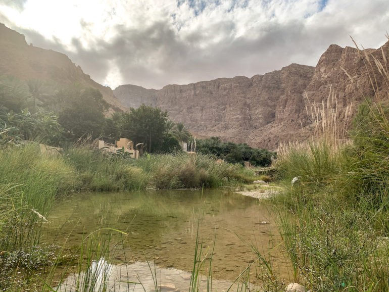 Wasser, Pflanzen und Felsen in Wadi Tiwi