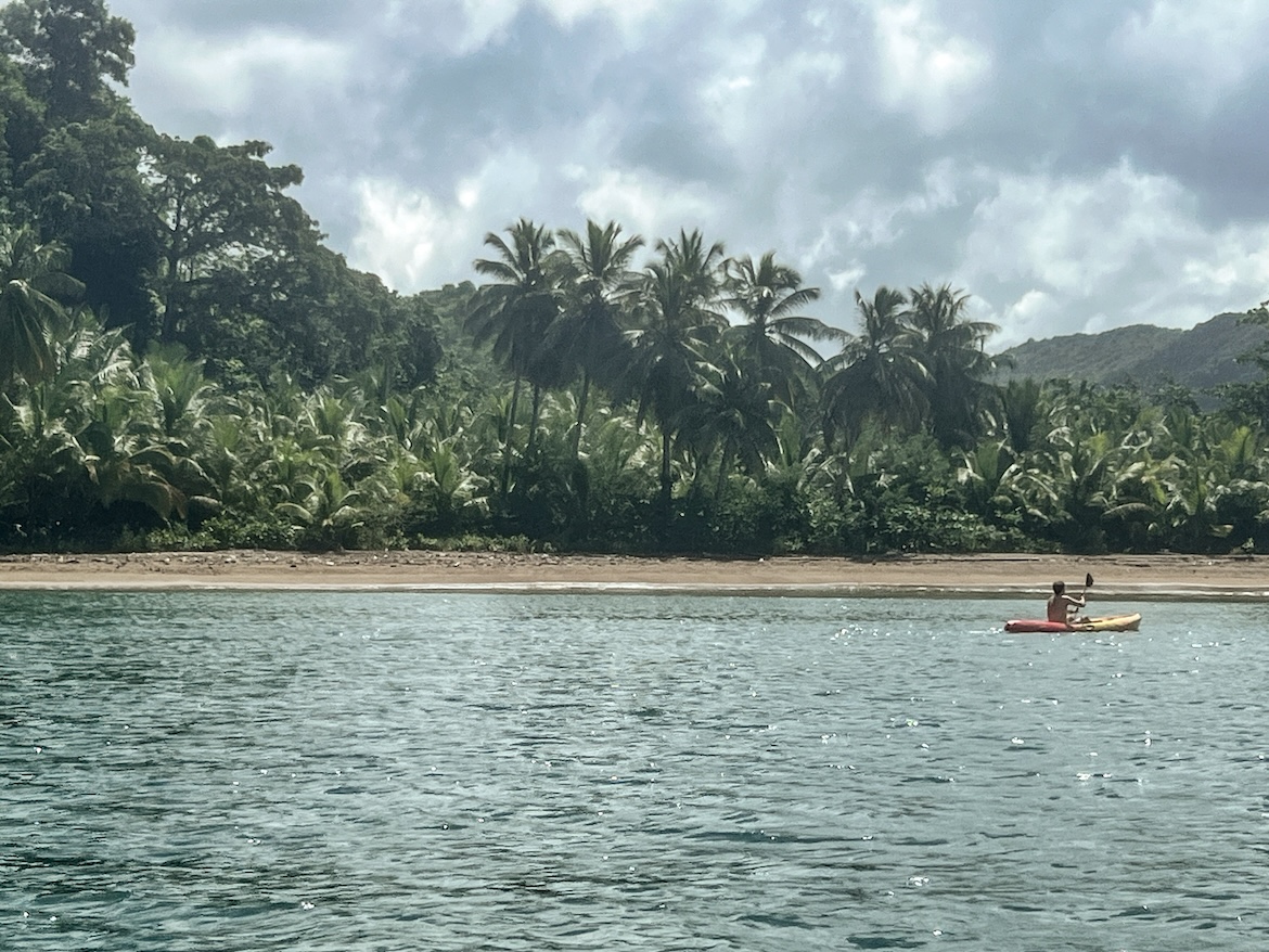 Strand Palmen Kayak Saint Lucia Karibik