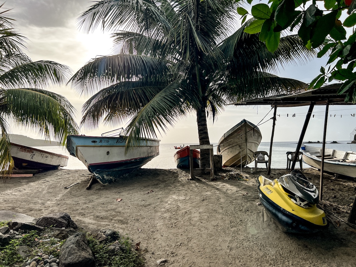 Boote Palme Meer Saint Lucia Karibik