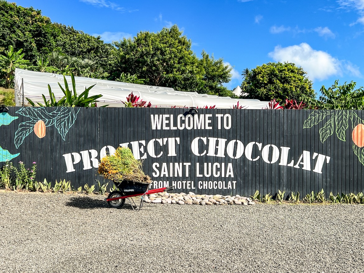 Project Chocolat Saint Lucia Karibik